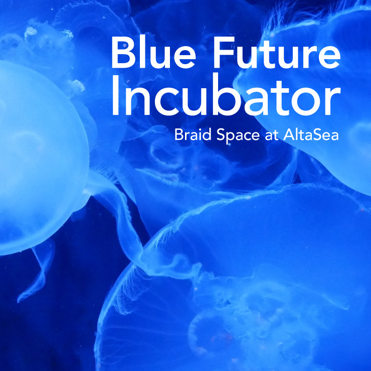 Blue Future Incubator