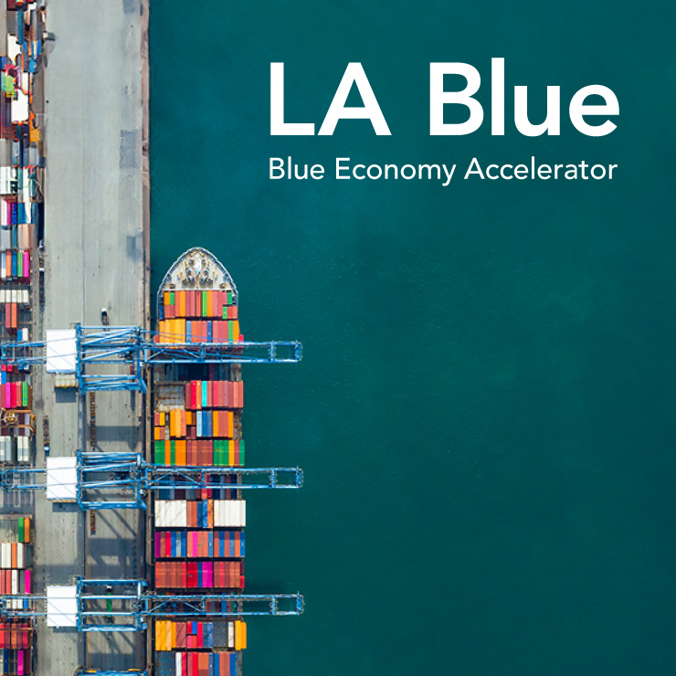 LA Blue