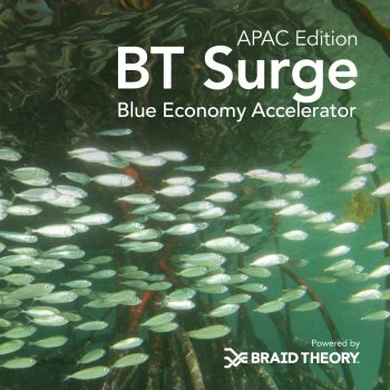 BT Surge Blue Economy Accelerator | APAC Edition