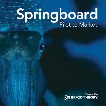 Springboard Pilot to Market by Braid Theory logo