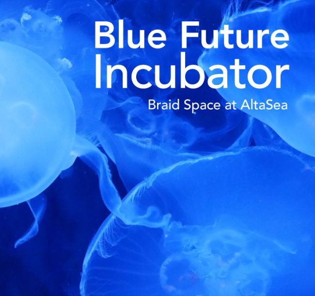 Blue Future Incubator | Braid Theory at AltaSea